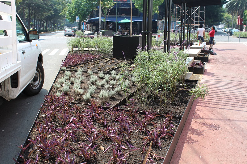Proyecto Liverpool Polanco